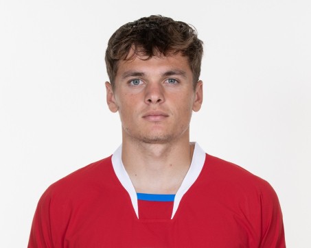 	Denis Višinský 	